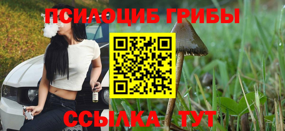 Галлюциногенные грибы Magic Shrooms  Вход с VPN  Галлюциногенные грибы Cubensis  Чистополь 