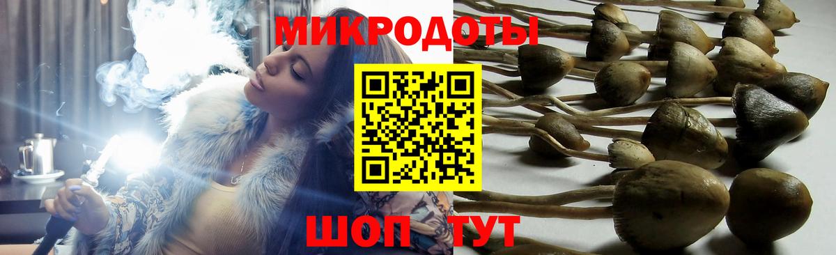 Галлюциногенные грибы Cubensis Чистополь